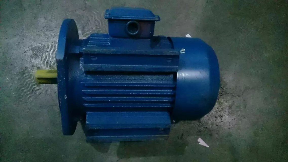 大连冰山油泵电机