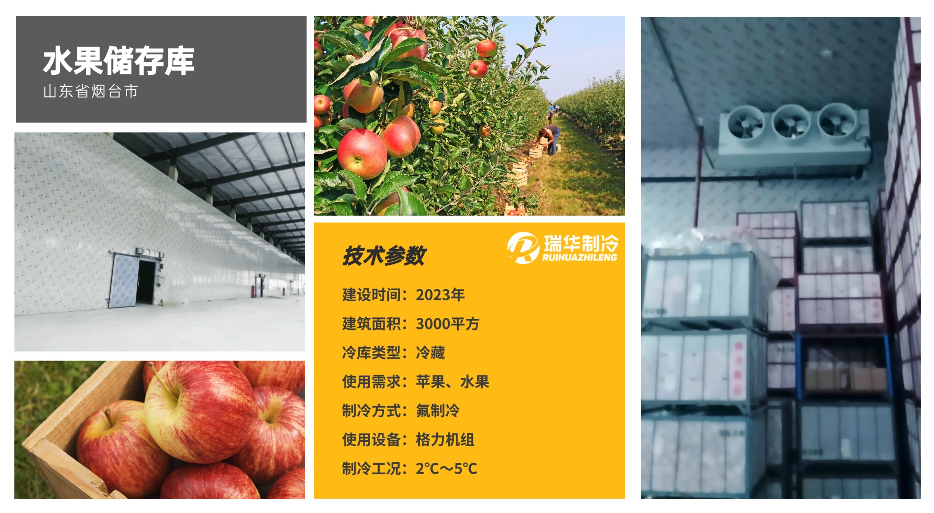 山东烟台水果库项目案例